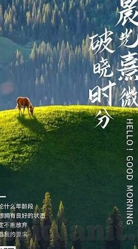 国产精品日韩av在线-国产精品日韩AV在线，文化与艺术的多元交融